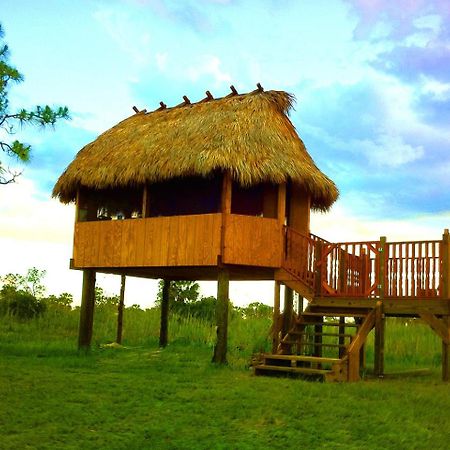 Everglades Chickee Cottage & Bungalow - Ochopee Extérieur photo