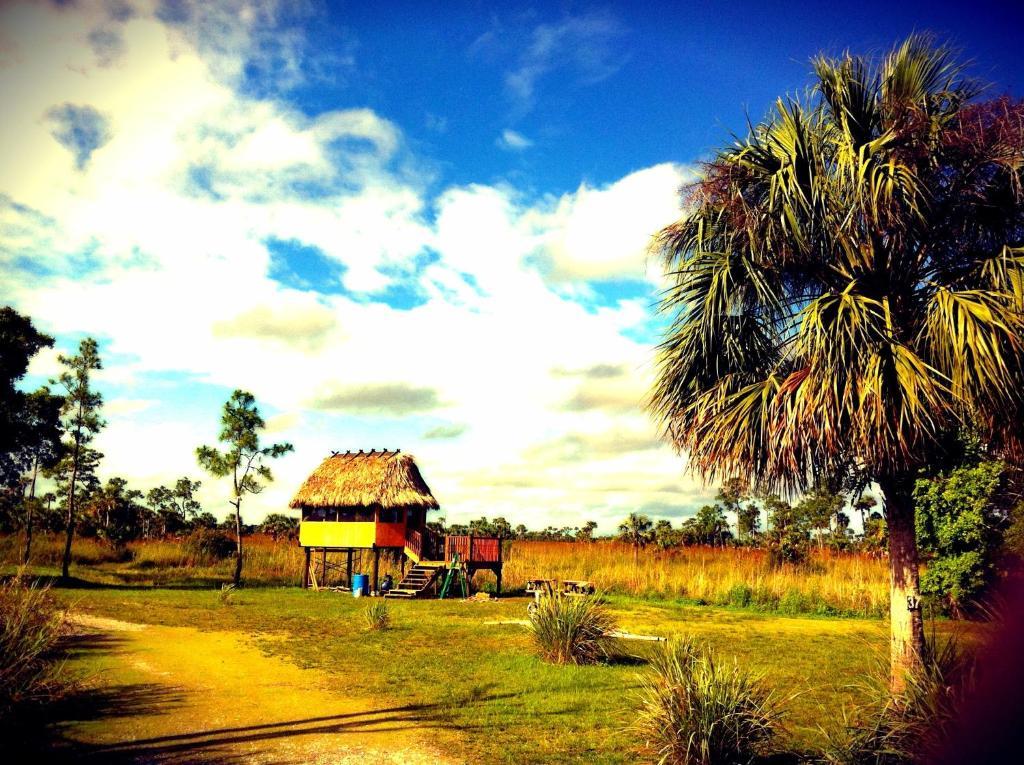 Everglades Chickee Cottage & Bungalow - Ochopee Chambre photo