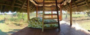 Everglades Chickee Cottage & Bungalow - Ochopee Extérieur photo