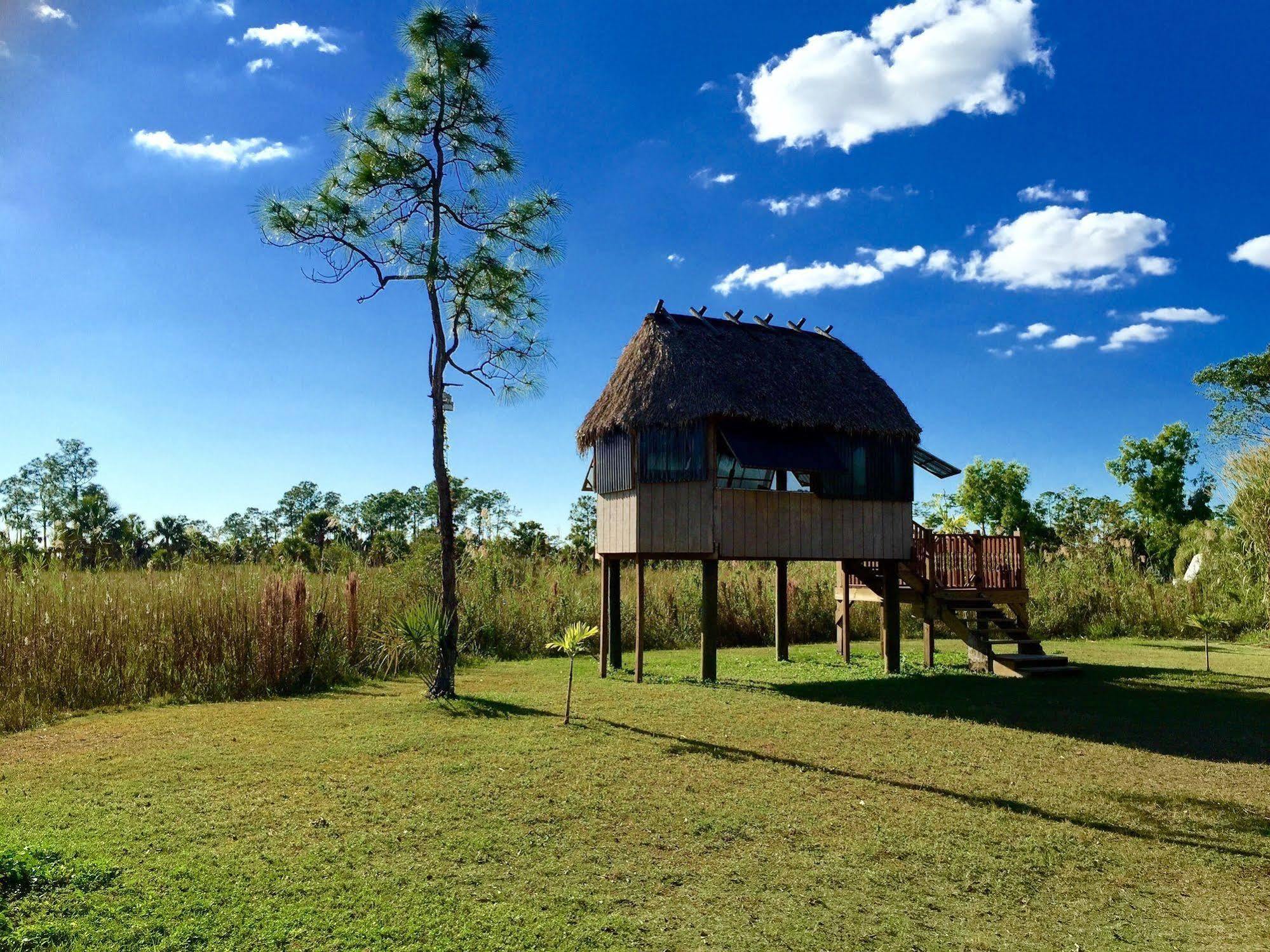 Everglades Chickee Cottage & Bungalow - Ochopee Extérieur photo