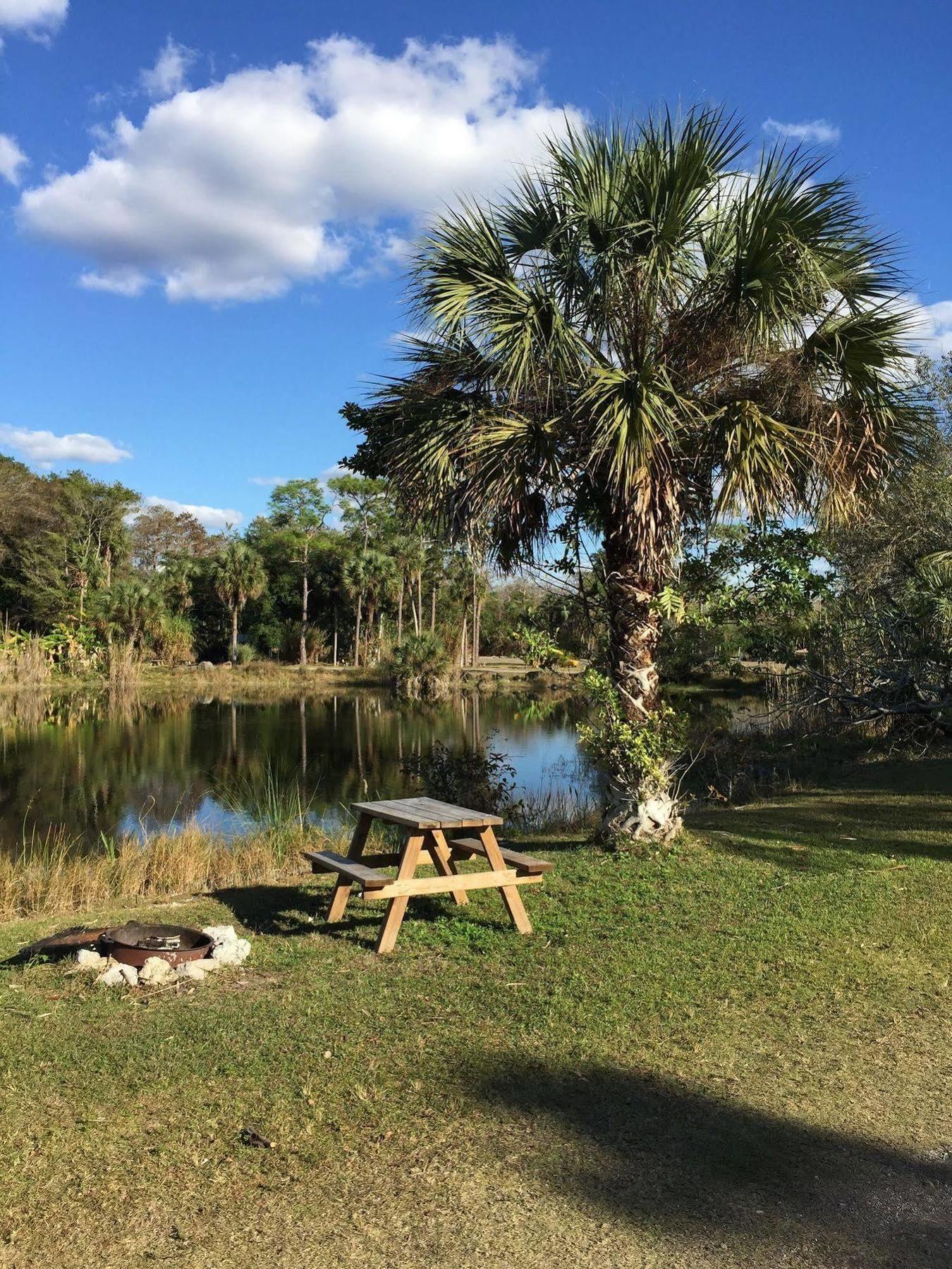 Everglades Chickee Cottage & Bungalow - Ochopee Extérieur photo